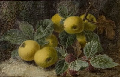 Quitte und Brombeeren, ca. 1893 von Oliver Clare